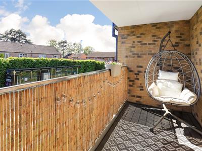Picture 14